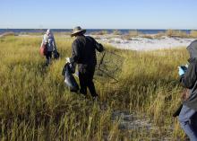 A man in the center of the photo is shown from the back wearing a bucket hat and black wind suit picking up trash in tall grass along a beach. Another person with a gray jacket and red backpack is in front of him with a trash bag, while another person in a black jacket with the hood up takes pictures. A blue sky and ocean water are in the background.