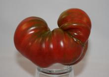 A mostly red tomato is shaped almost like the letter “U.”