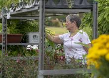 A woman reaches for a plant on an outdoor shelving unit.