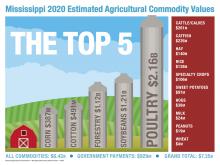 Chart shows top agriultural commodities in Mississippi.