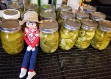 An elf doll sits among a rows of sliced pickles in jars.