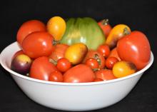 A white bowl is filled with small tomatoes in a variety of colors.
