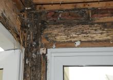Wood trim has been removed to reveal extensive termite damage around a doorway.