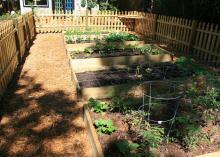 A row of raised beds have wooden sides.