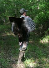 Hunter with harvested turkey on his back.