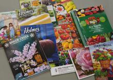 A spread of seed catalogs.
