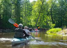 Two canoes are paddled down a small, forested stream.