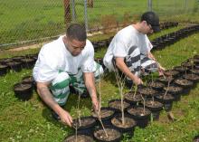 Keenan Watkins (left) and J.D. Rodgers check tree seedlings they planted in the forestry course offered by the Mississippi State University Extension Service at the Chickasaw County Regional Correctional Facility near Houston, Mississippi. This photo was taken on April 20, 2015. (Photo by MSU Ag Communications/Linda Breazeale)