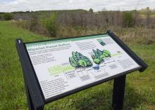 Educational signs, such as this one on properly managing riparian forest buffers, are placed at each demonstration area at the Coastal Plain Branch Experiment Station in Newton, Mississippi. Three of the planned five demonstration areas are complete, including the backyard habitat, the nature trail and lake, and an 80-acre mixed pine and hardwood timber stand. (Photo by MSU Ag Communications/Kevin Hudson)