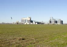 Storage facilities, such as this grain elevator in Sunflower County seen on Dec. 15, 2015, are busy as Mississippi’s 2015 harvest is complete. Agriculture brought an estimated value of $7.4 billion to the state. (Photo by MSU Extension Service/Bonnie Coblentz)