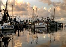 Low prices and an unusual season are making it difficult for Mississippi fishermen to harvest the state's shrimp crop. (Photo by MSU Extension/Dave Burrage)