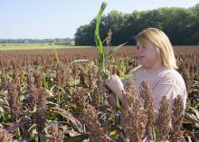Brittany Lipsey, a Mississippi State University graduate student from Louisville, Mississippi, is researching management techniques that can be used to combat sugarcane aphids, helping sorghum farmers have a sustainable future with the crop. (Photo by MSU Extension Service/Kevin Hudson)