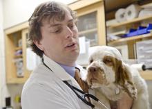Dr. Jeb Cade, an assistant clinical professor at the Mississippi State University College of Veterinary Medicine, is part of a team researching more efficient and cost-effective ways of treating a common condition in Mississippi dogs. (Photo by MSU College of Veterinary Medicine/Tom Thompson)