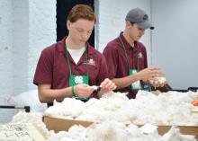 Thirty-four 4-H’ers learned leadership skills when they toured four co-ops as part of the 2016 Cooperative Business Leadership Conference. Here, Jonathan Pannell, left, of Alcorn County, and Thomas Heck of Hancock County examine cotton samples at Staplcotn in Greenwood. (Submitted Photo/Lauren Revel)