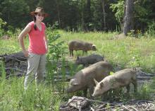 Ali Fratesi Pinion raises pigs as a healthy source of local meat and manages them to benefit the soil on her Clay County farm. (MSU Extension Service file photo/Kevin Hudson)