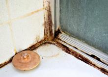 Mildew and mold growth can take place in damp areas of the home, including showers, sinks, bathrooms and kitchens. Clean damp areas, such as kitchens, bathtubs or under-sink cabinets, frequently to reduce mold-feeding spores and microbes. (Photo by Canstock)