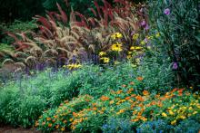 Flower beds receive a colorful boost when zinnias are included.