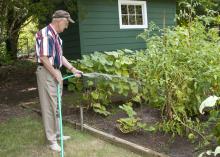 Harold Rone of Starkville uses a hose to water his garden when rainfall is not adequate. If the idea of a hose doesn't appeal to you, consider installing an irrigation system. (Photo by Scott Corey)