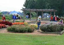 The annual Fall Flower and Garden Fest in Crystal Springs is one of the premier gardening events in the Southeast. Last year, about 5,000 people attended the two-day event. (Photo by MSU Extension Service/Gary Bachman)