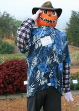 Mississippi State University Extension Service horticulturist Gary Bachman -- not just his scarecrow -- will be on hand at the Fall Flower and Garden Fest to answer questions and talk about landscaping. (Photo by MSU Extension Service/Gary Bachman)