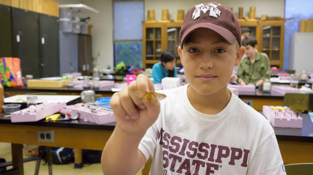 A young boy wearing a Mississippi State t-shirt holds a butterfly-like insect out toward the camera.