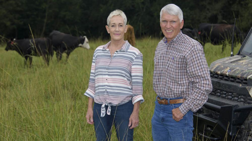 A man and woman standing in a grassy field in front of cattle.