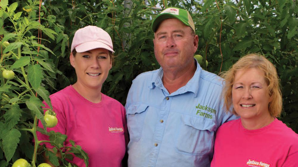 A young woman with an older man and woman standing next to a tomato plant.