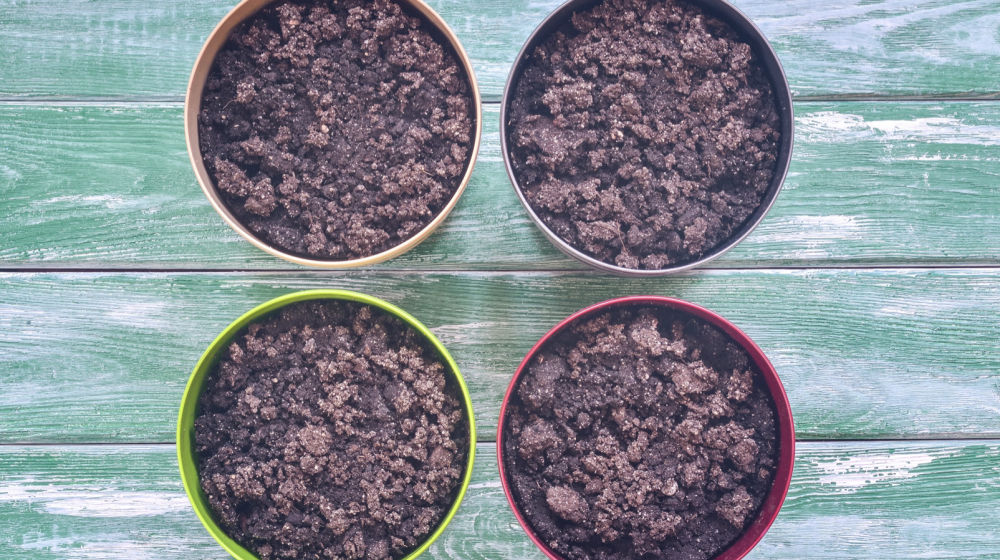 Four pots of soil on a blue background.