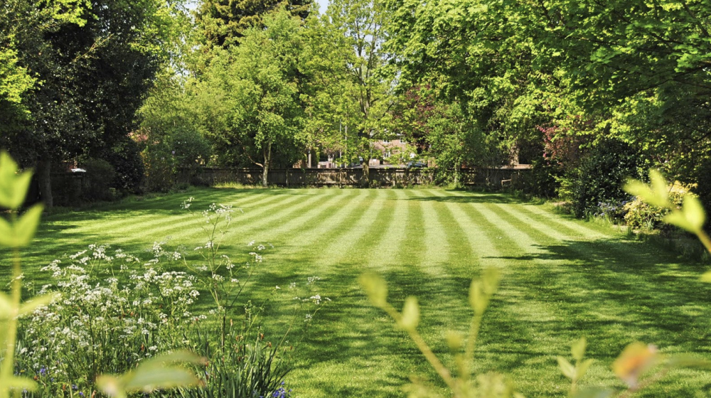 Freshly mowed lawn.