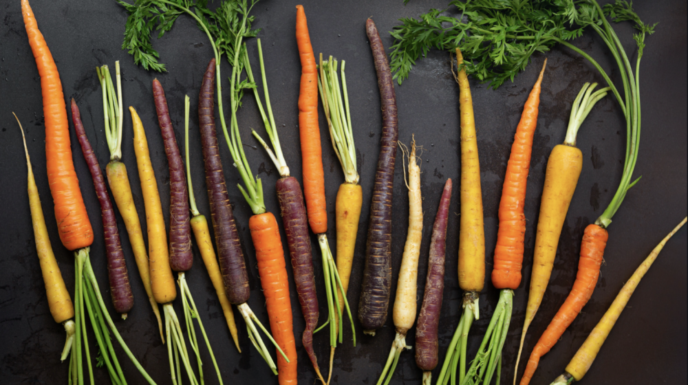 Purple, yellow, and orange carrots. 