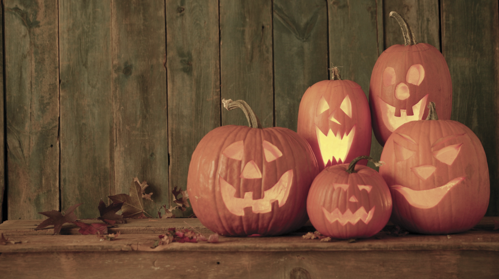 Four jack-o-lantern pumpkins