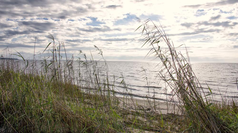 Dunes with grass appear in the foreground with the sun shining on the blue waters of the Mississippi Sound at Graveline Bayou in Jackson County.  