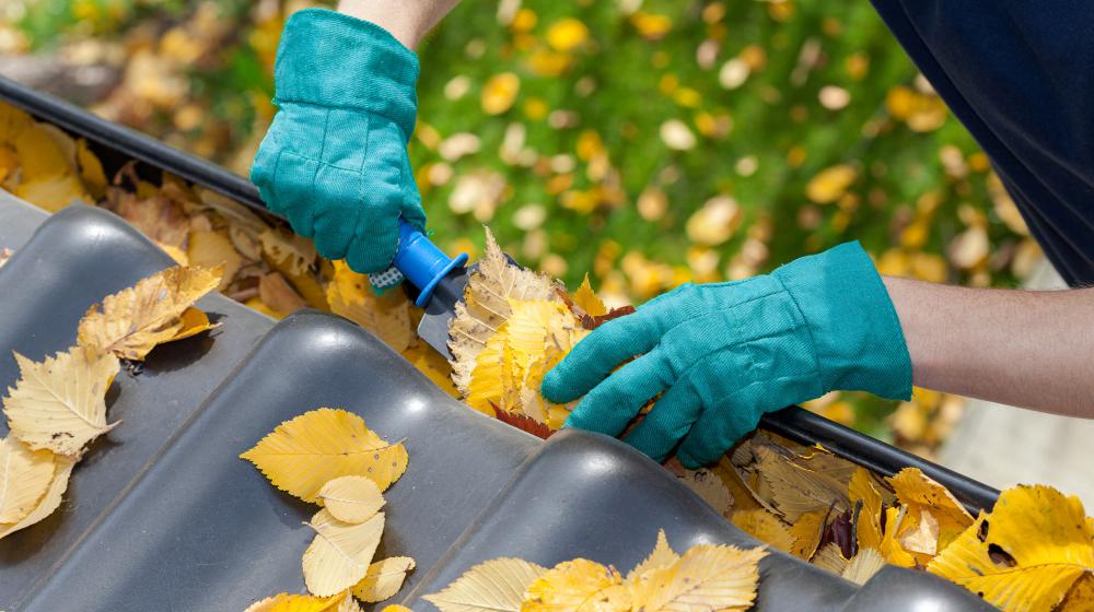 Closeup of a person cleaning leaves out of a gutter.