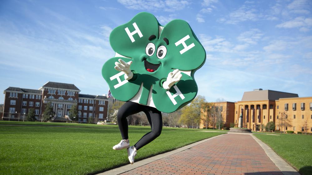 4-H clover on MSU Campus
