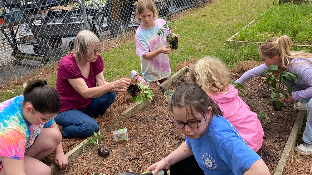 A woman showing a group of young people how to transfer plants from pots to a raised bed.