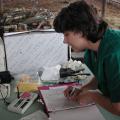 Mississippi State University animal scientist Rhonda Vann often sets up her laboratory in the corral at the Brown Loam Branch Experiment Station near Raymond. Part of her work is finding ways to help producers select the best quality animals for their herds.