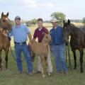 Two mothers with claim to one filly are together with Mississippi State University representatives Russ Farrar (from left), Dr. Kevin Walters and Greg Fulgham. Top Card, the filly's biological mother is a quarter horse and is on the left. Her surrogate mother, Avonlea, is a Tennessee walking horse and is on the right. (Photo by Tom Thompson)