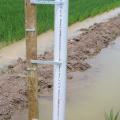 A newly designed flood gauge by Mississippi State University helps rice producers conserve water by allowing them to monitor flood depth from a distance. Red indicates "add water," yellow means "prepare to add water," blue signifies "full flood" and green means "losing money from over-pumping." (Photo by Joe Massey/MSU Department of Plant and Soil Sciences)
