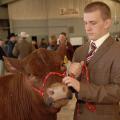 Wes Herrington of Laurel, Miss., 16, prepares to take his steer into the Dixie National Sale of Junior Champions Thursday morning. (Photos by Jim Lytle)