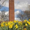 Daffodils frame the Chapel of Memories clock tower at Mississippi State University. (Photo by MSU Ag Communications/Kat Lawrence)