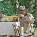 New beekeeper Mark Lewis of Lowndes County enjoys learning about bees and their care. (Courtesy photo by Keri Collins Lewis)