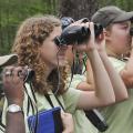 Alexis Webber, Molly Kate Chamblee, and Shaina Keene (top, from left) look for an endangered red-cockaded woodpecker at the Noxubee National Wildlife Refuge.
