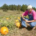 Michael May of Lazy Acres Plantation in Chunky uses social media to connect with visitors to his agritourism business which includes a pumpkin patch, corn maze, petting zoo and Christmas tree farm. (Photo by Kat Lawrence)