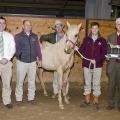Veterinarians in the Mississippi State University College of Veterinary Medicine's theriogenology (reproduction) group stand with one of the MSU weanlings, the grandson of Dash for Cash, a champion American Quarter Horse. Pictured before the recent MSU horse sale are Drs. Heath King, David Christiansen, Richard Hopper, Kevin Walters and Peter Ryan. The AQHA recently recognized MSU for its efforts to maintain the quality of the breed. (Photo by MSU College of Veterinary Medicine/Tom Thompson)