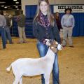 Alexandra Pittman of Forrest County 4-H set a record with her reserve champion medium weight goat, which brought $100 per pound. (Photo by Kat Lawrence)