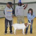 Christian Thornton, left, shows a goat with support from Lafredrick Leggett, Dykarius Arrington and Clarke County 4-H Livestock Club member Jesse Miller during the Clarke County 4-H Special Needs Livestock Show Jan. 17 in Quitman. (Photo by MSU Ag Communications/Susan Collins-Smith)