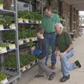 Jerry Don Keith, Tishomingo County Master Gardener, right, helps his grandson Brooks Keith select tomato plants from James Tennyson's inventory at Fairless Hardware Co. in Tishomingo on April 3, 2014. (Photo by MSU Ag Communications/Kat Lawrence)