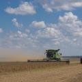 A large, green combine machine plows a soybean field while a green tractor rides beside it.