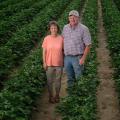 A couple stands among crop rows. The woman, left, has short brown hair, a pink shirt, and khaki pants, and  a taller man wears a white and tan baseball cap, a checkerboard-striped shirt, and blue jeans.