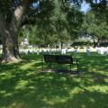 A black metal bench overlooking the cemetery sits under the shade of a large, green tree.